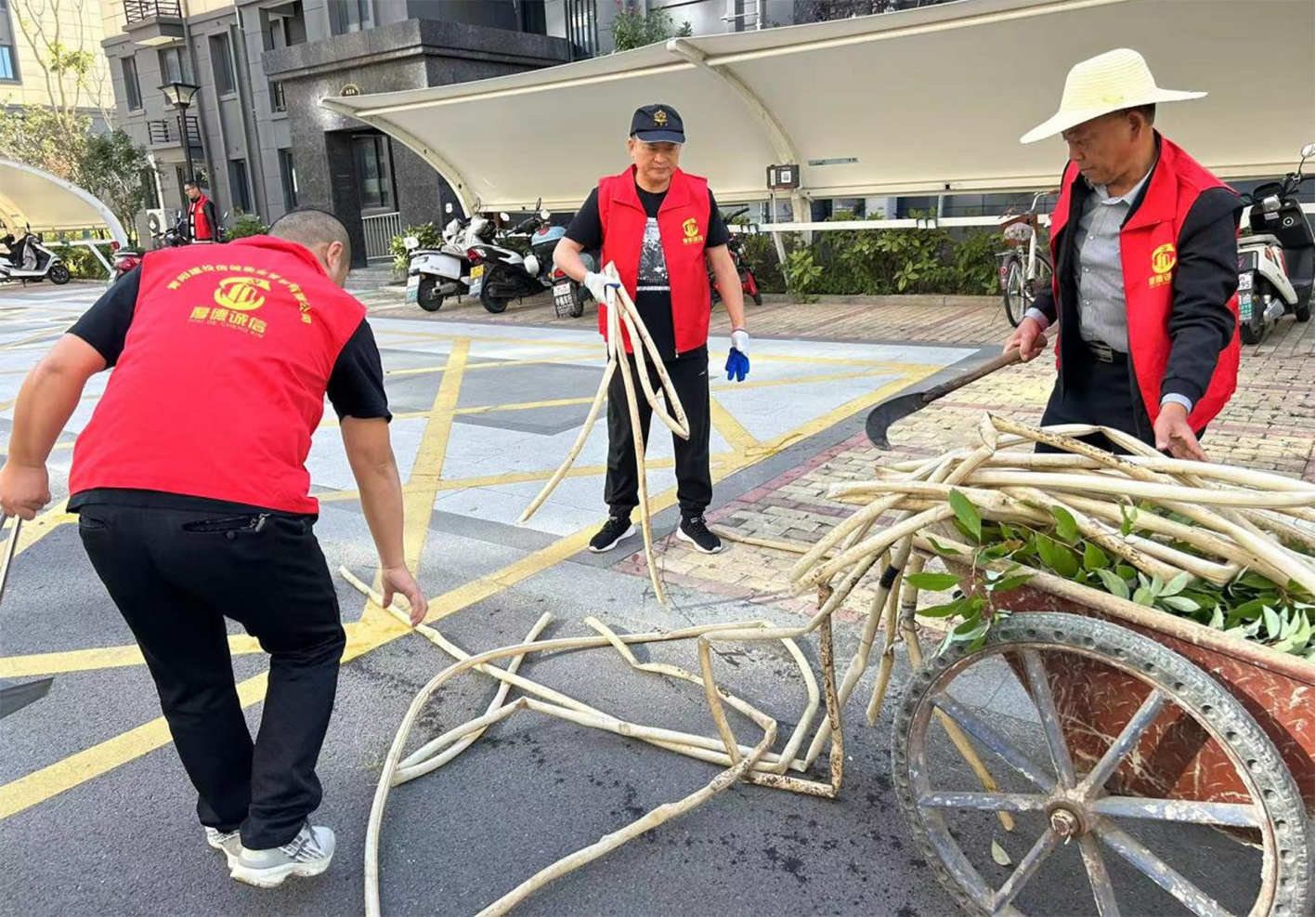 捡垃圾   倡环保