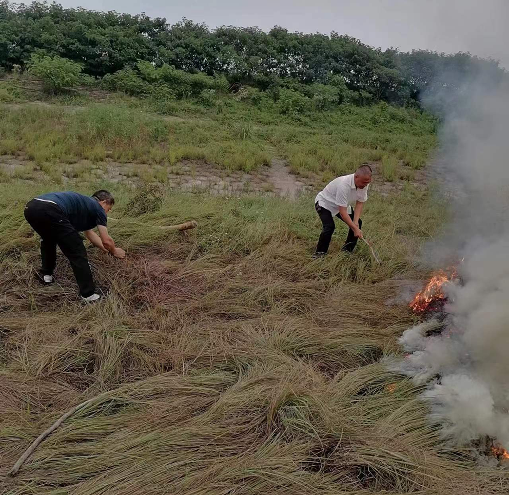 突发草地起火  挺身奋力扑救