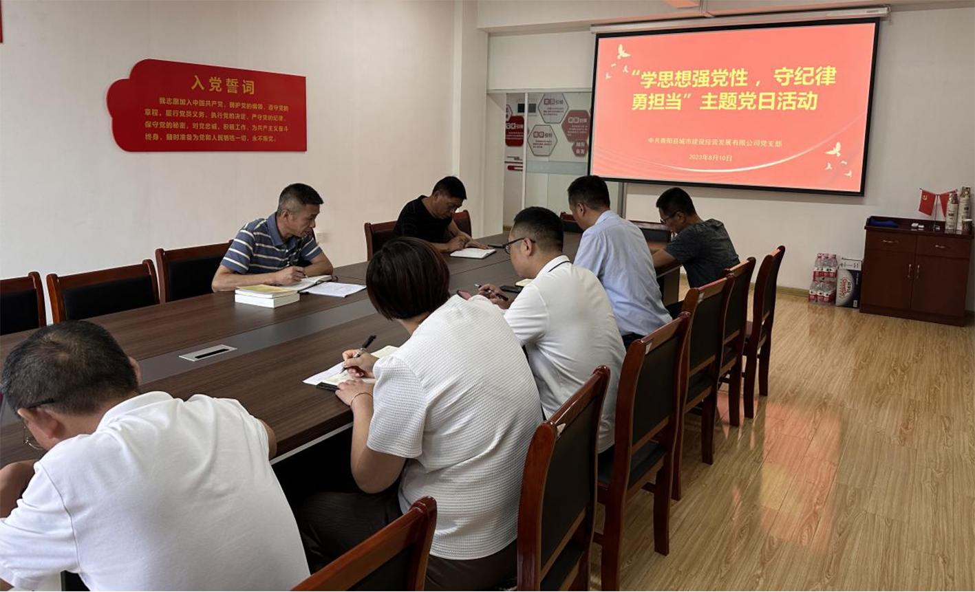 城市经营公司开展“学思想强党性，守纪律勇担当”主题党日活动