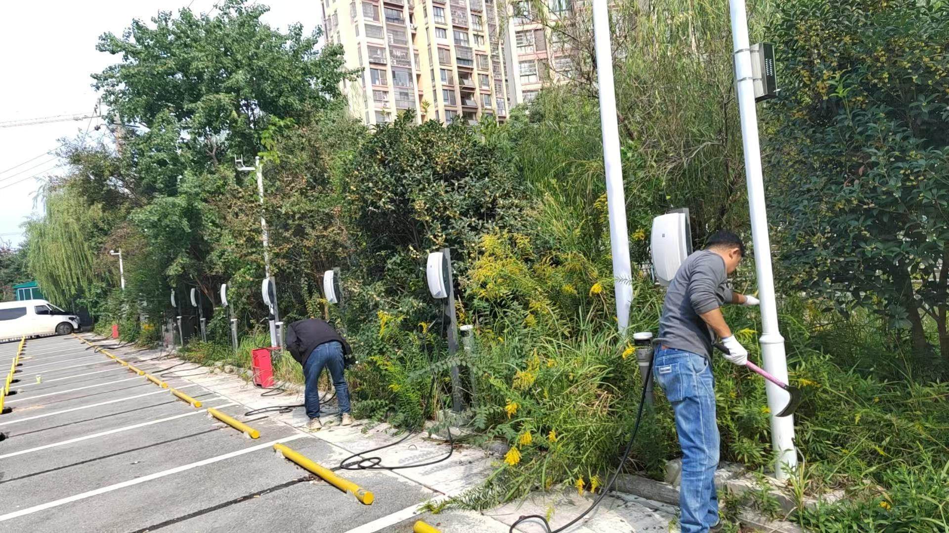 1765162943212791.png 图片2.png